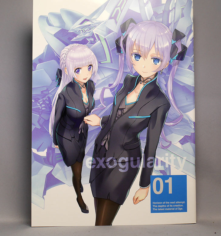 ご予約品】 初版マブラヴ オルタネイティヴ exogularity01&02 アート