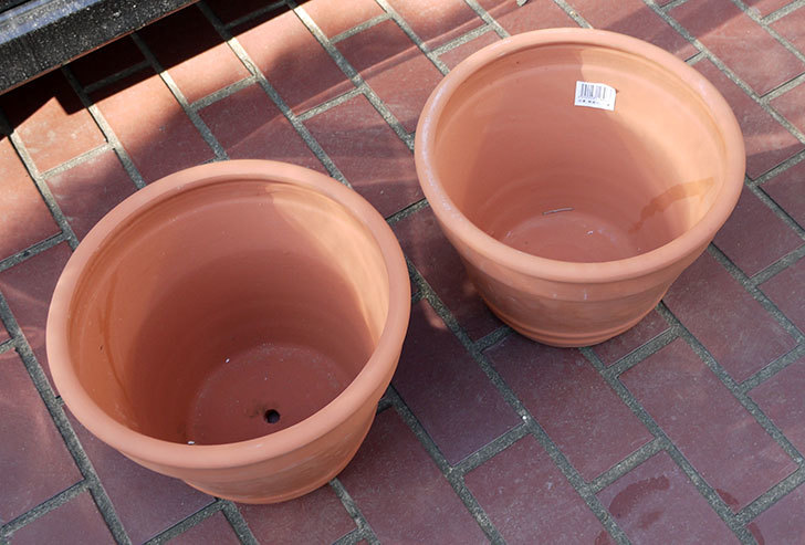 10号サイズのテラコッタ製植木鉢2個をケイヨーデイツーで買って来た7.jpg