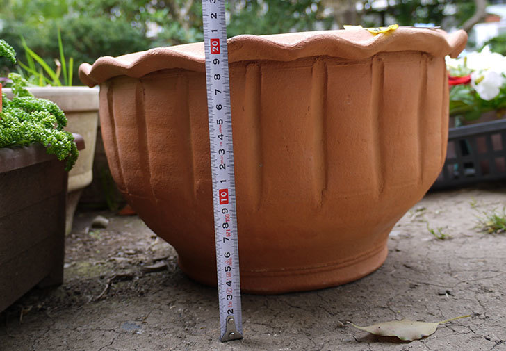 12号サイズ(36cm)のテラコッタの植木鉢を買ってきた5.jpg