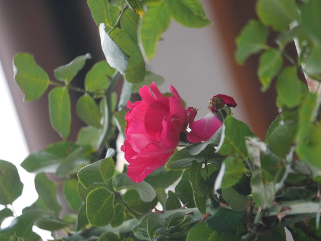 2022-11-20№(0091).JPG