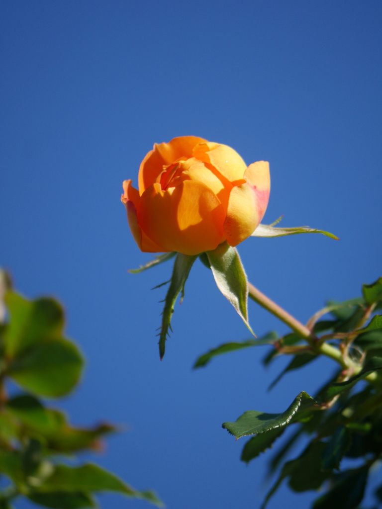 2022-11-27№(0093).JPG