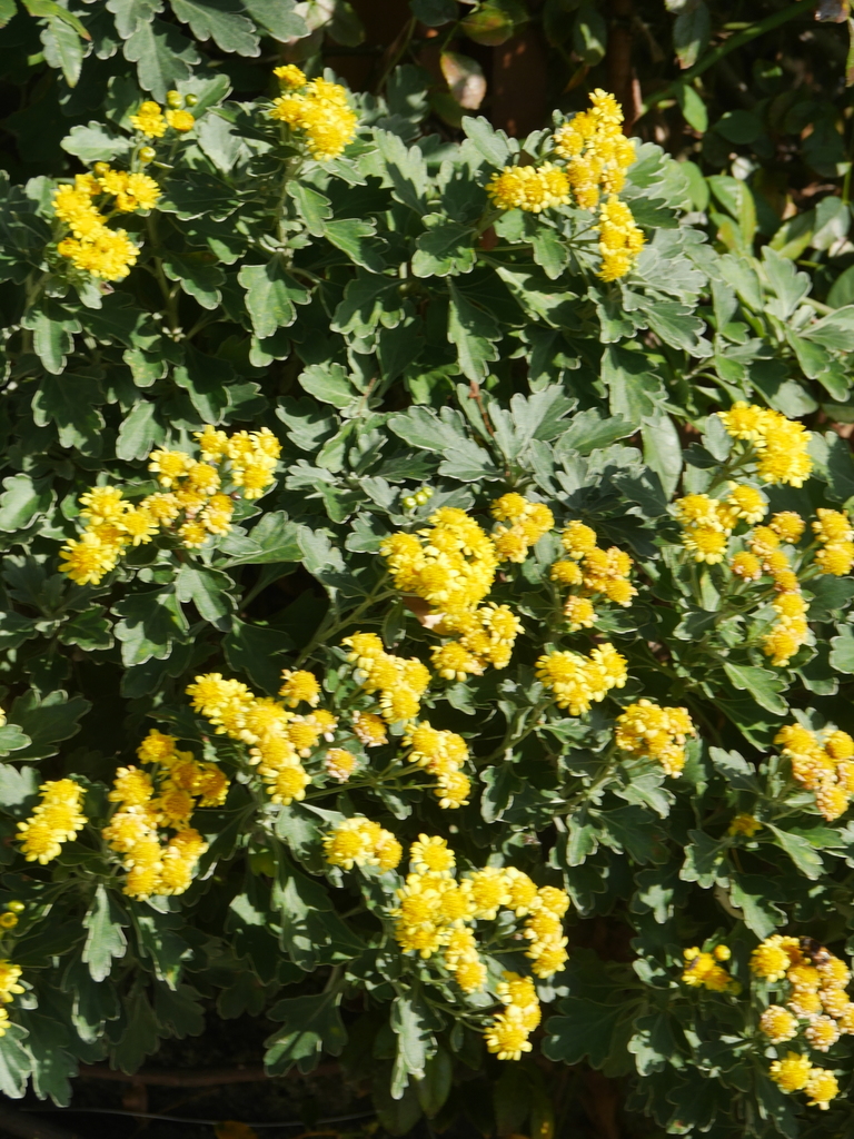 2022-12-04№(0125).JPG