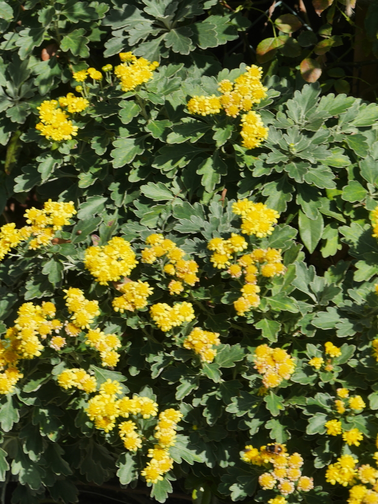 2022-12-04№(0127).JPG