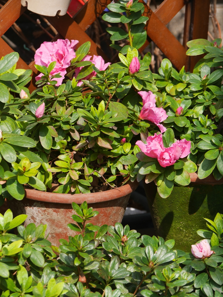 2023-03-10 10_44№(0014).JPG
