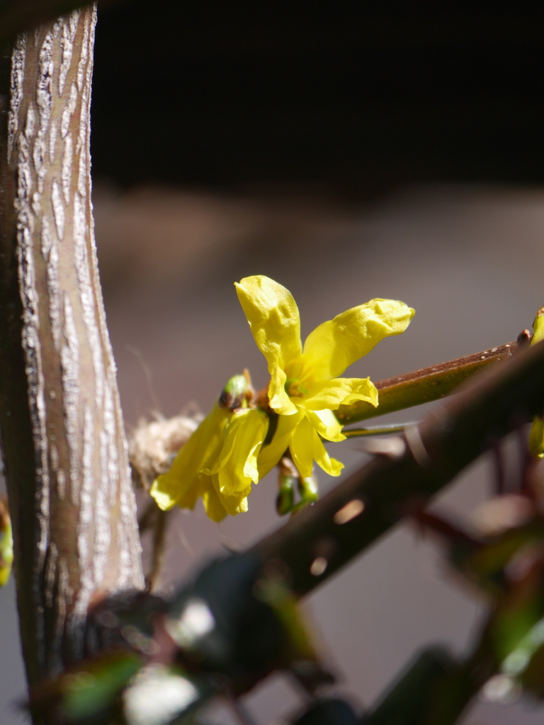 2023-03-11 10_49№(0008).JPG