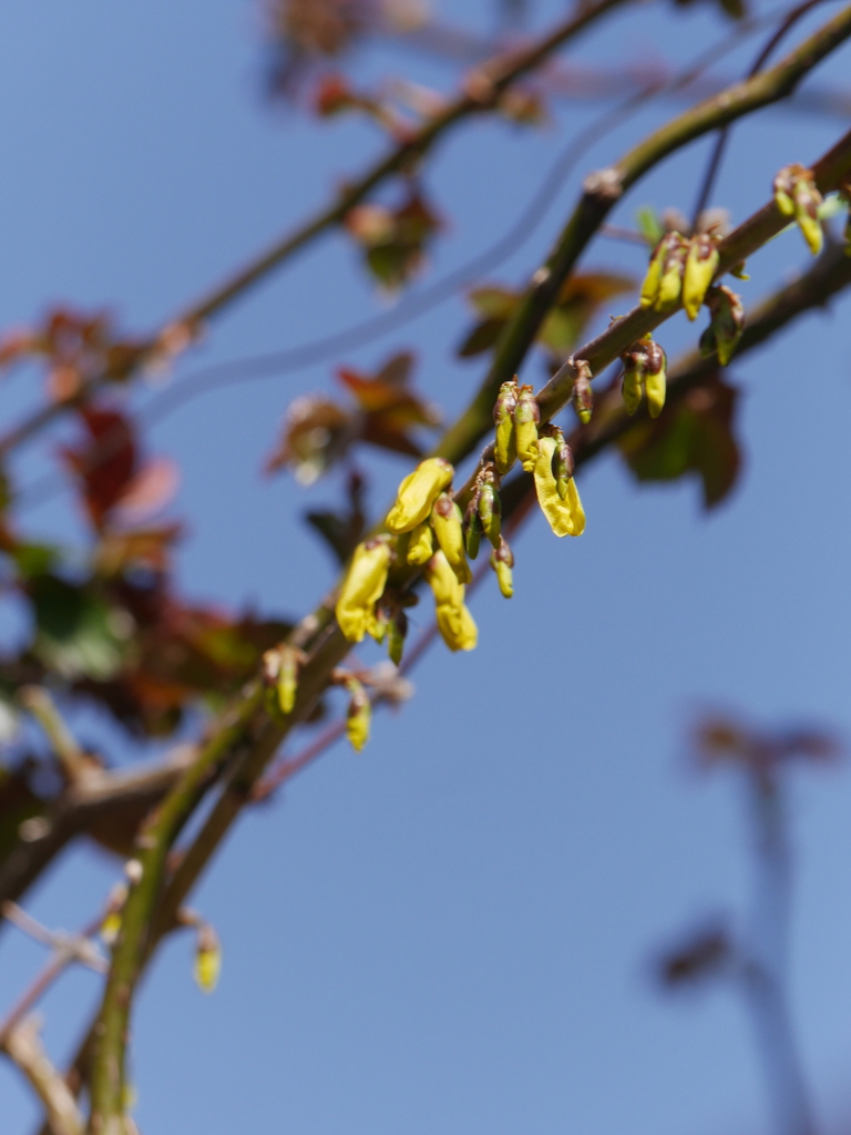 2023-03-11 10_49№(0009).JPG
