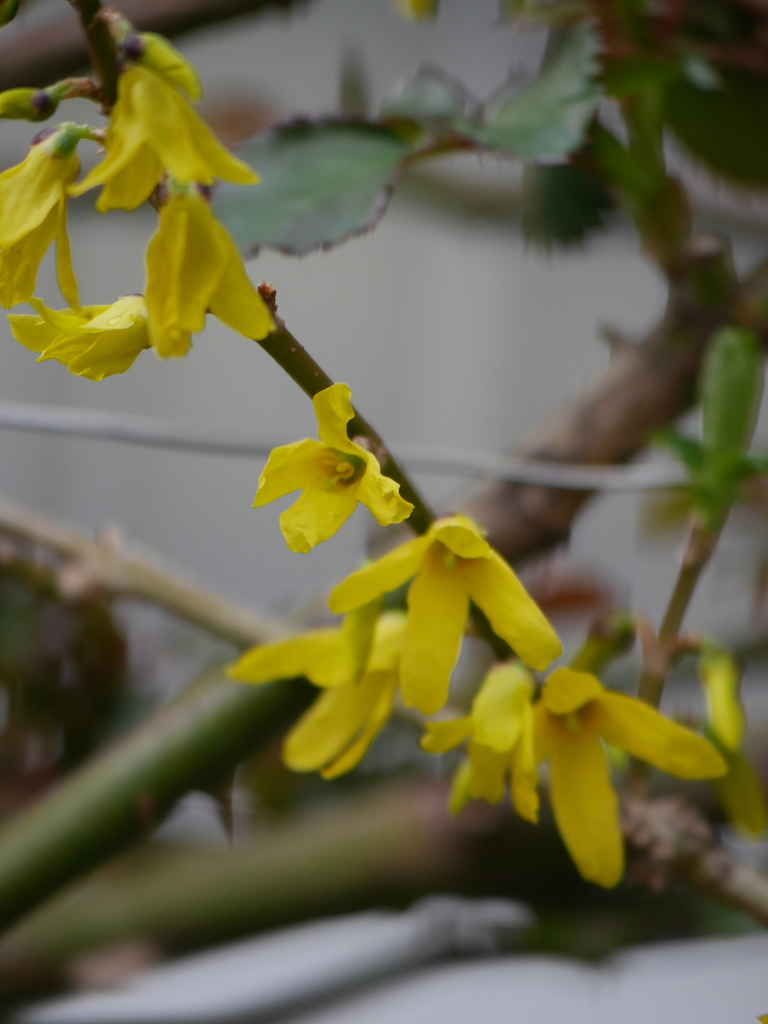 2023-03-14 09_01№(0045).JPG