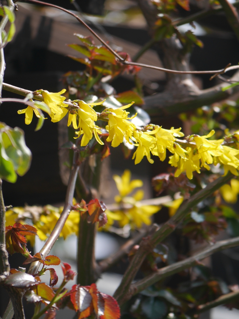 2023-03-17 11_04№(0021).JPG