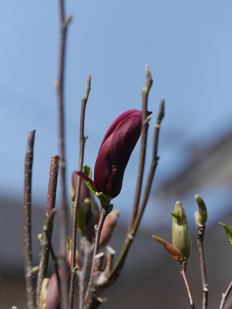 2023-03-19 12_40№(0009).JPG