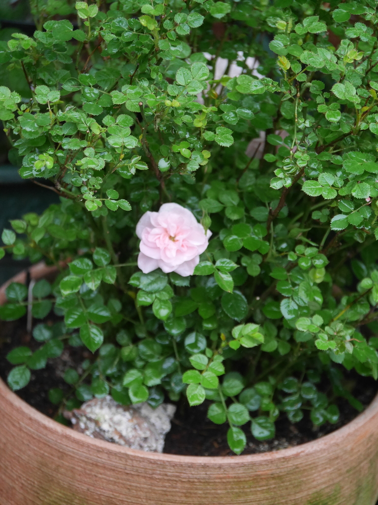 2023-03-26 08_45№(0022).JPG