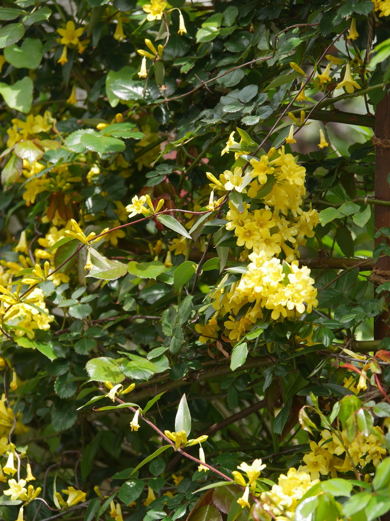2023-04-06 10_47№(0001).JPG