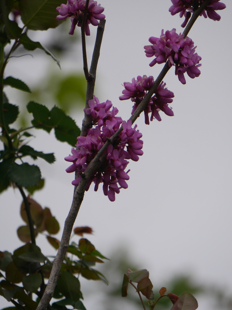 2023-04-07 07_15№(0015).JPG