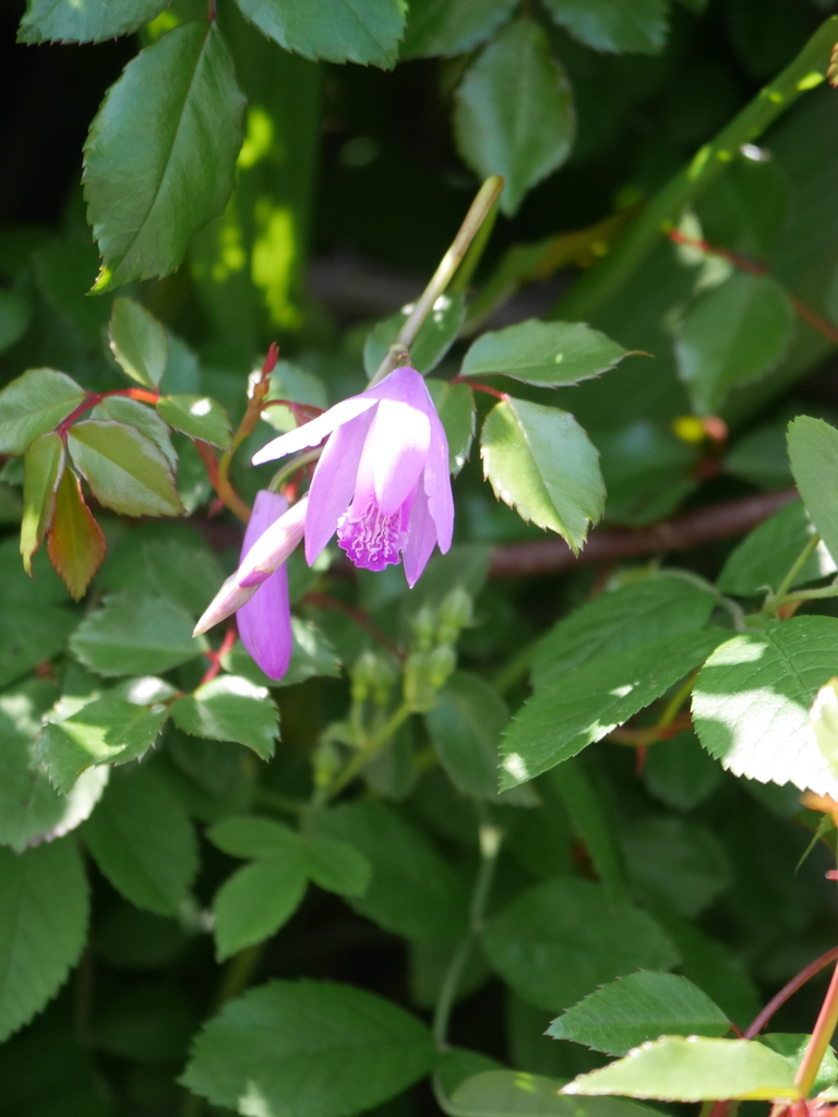 2023-04-09 11_44№(0014).JPG