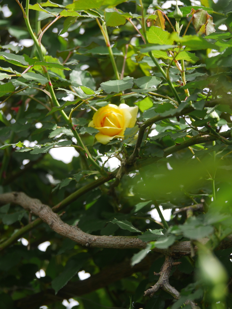 2023-04-14 11_13№(0046).JPG