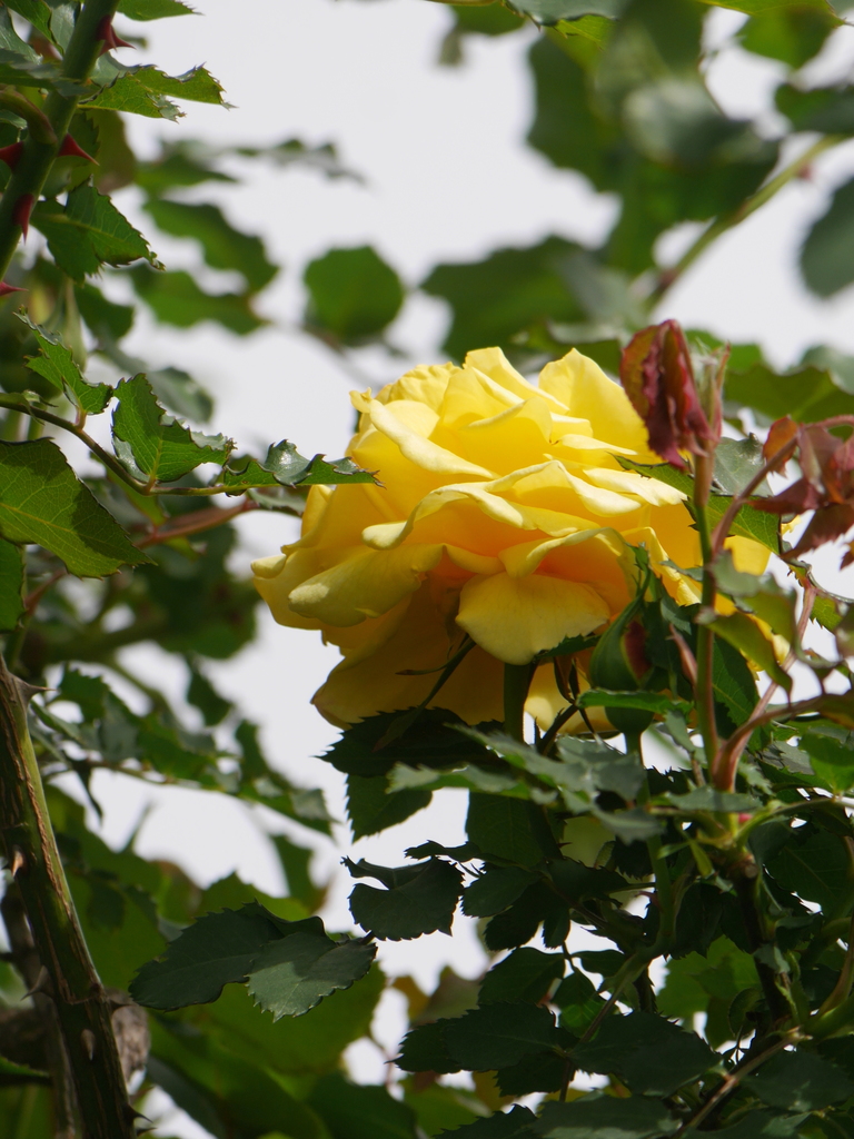 2023-04-14 11_13№(0051).JPG