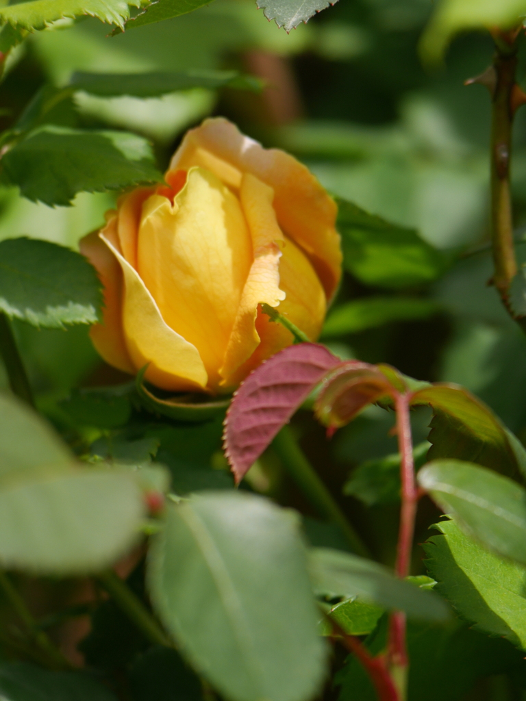 2023-04-14 11_14№(0054).JPG