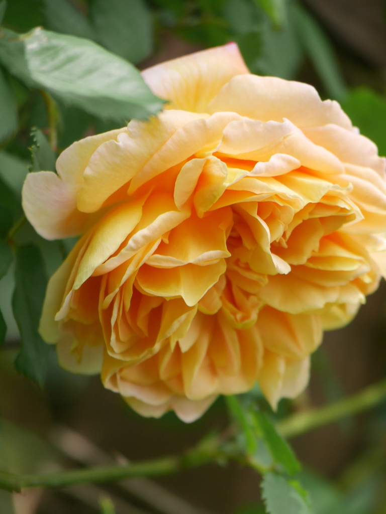 2023-04-14 11_14№(0058).JPG