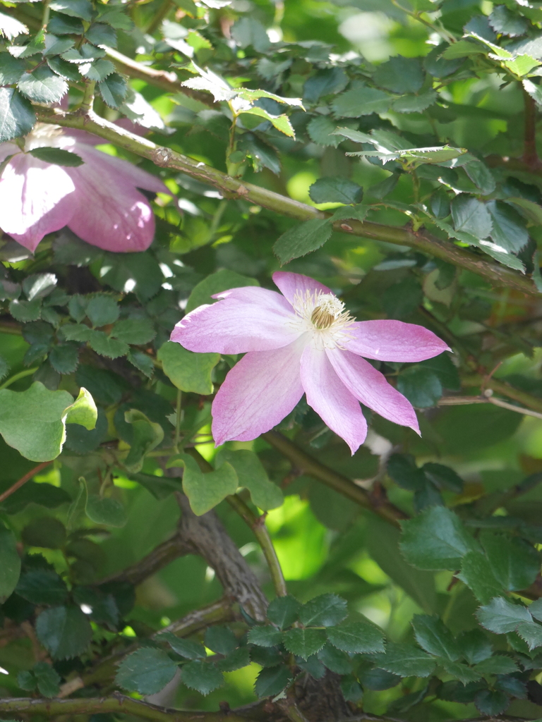 2023-04-17 09_39№(0041).JPG