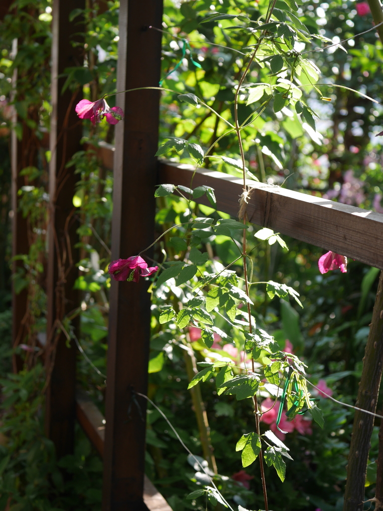2023-05-10 06_46№(0436).JPG