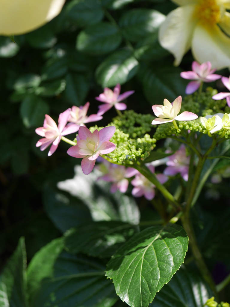 2023-05-10 10_40№(0600).JPG