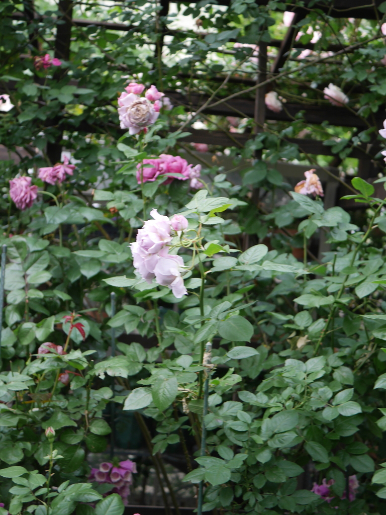 2023-05-13 05_49№(0193).JPG