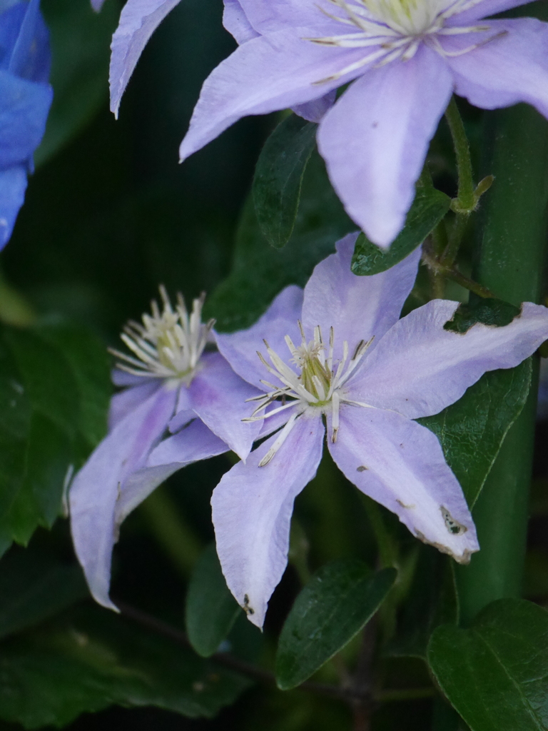 2023-06-04 07_20№(0089).JPG