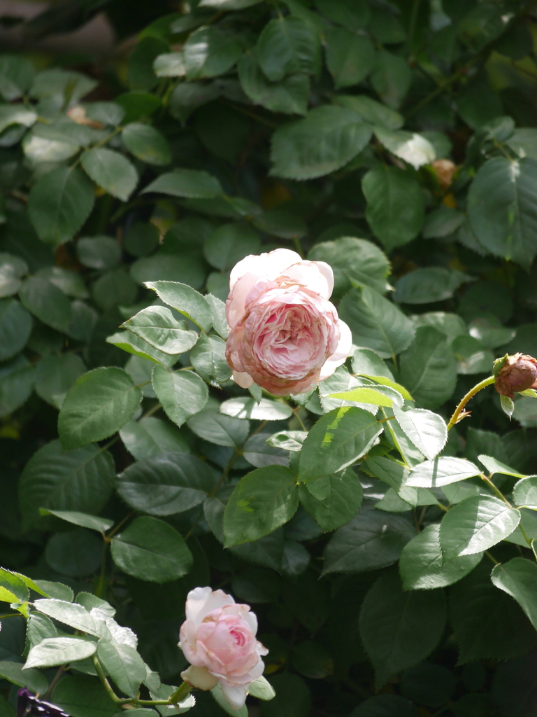 2023-06-21 09_37№(0117).JPG