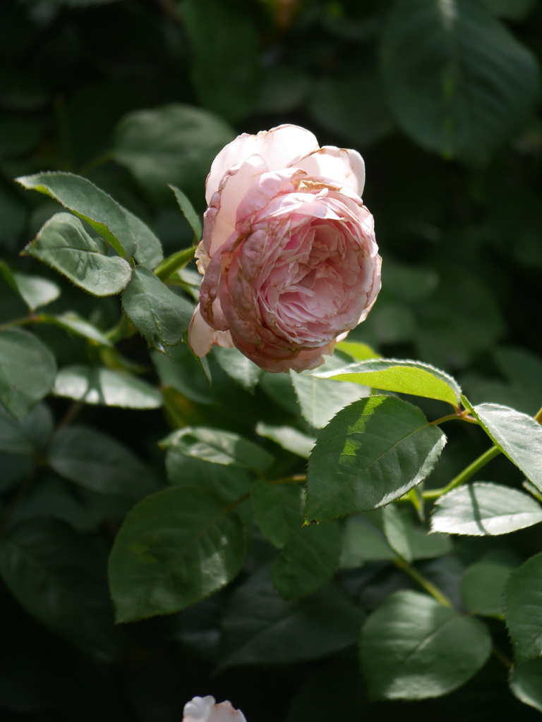 2023-06-21 09_38№(0121).JPG