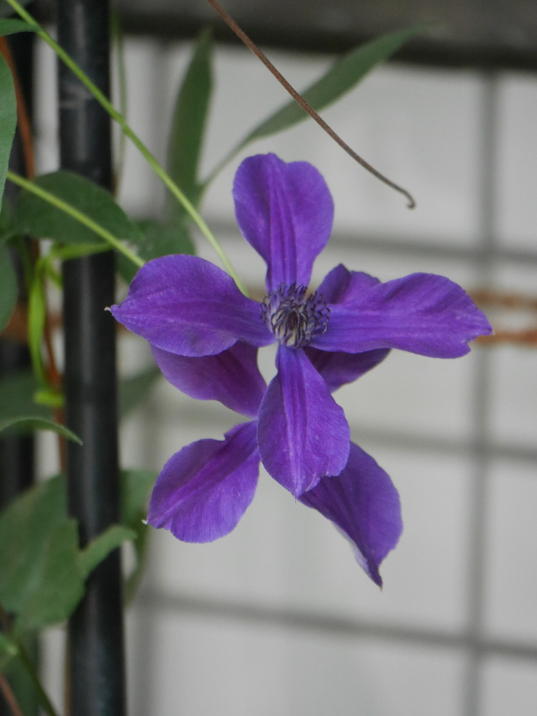 2023-06-21 09_49№(0265).JPG