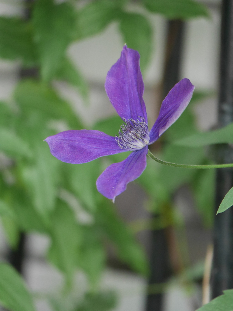 2023-06-21 09_49№(0267).JPG