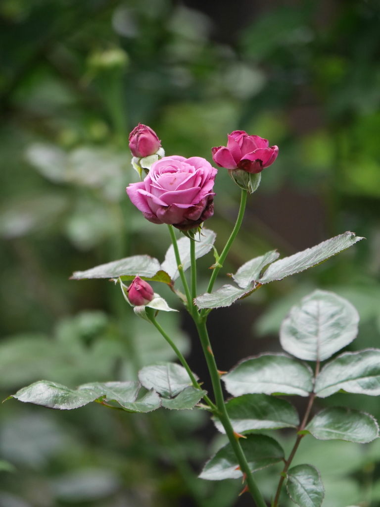 2023-06-22 13_39№(0128).JPG