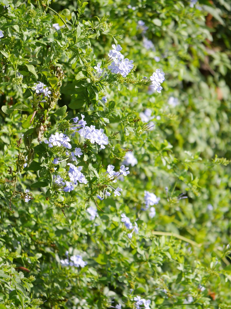 2023-08-11 07_48№(0029).JPG