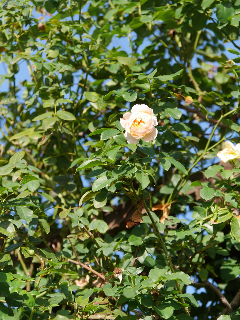 2023-10-23 07_53№(0025).JPG