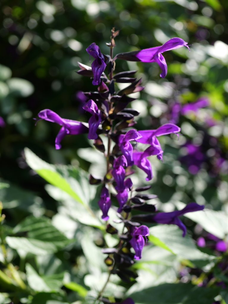 2023-11-01 09_48№(0175).JPG