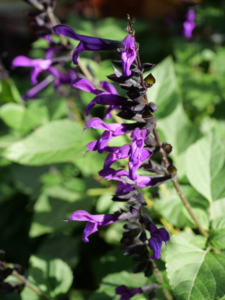 2023-11-01 09_48№(0176).JPG