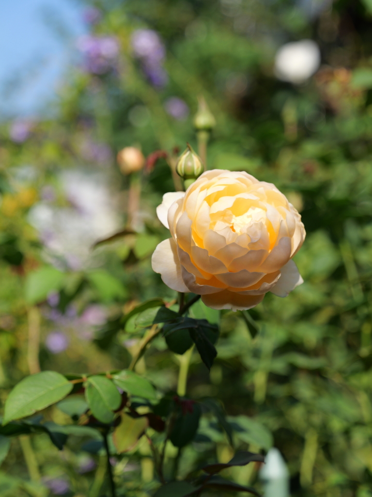2023-11-03 09_18№(0038).JPG