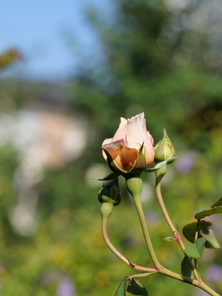 2023-11-03 09_18№(0041).JPG