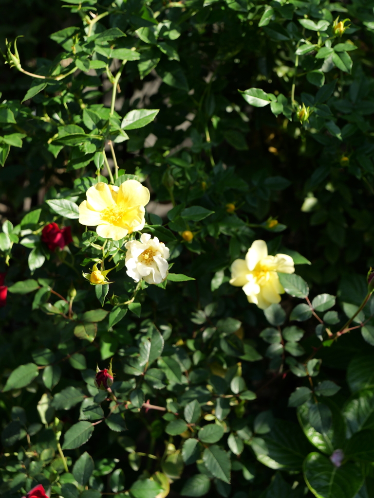2023-11-04 09_17№(0020).JPG
