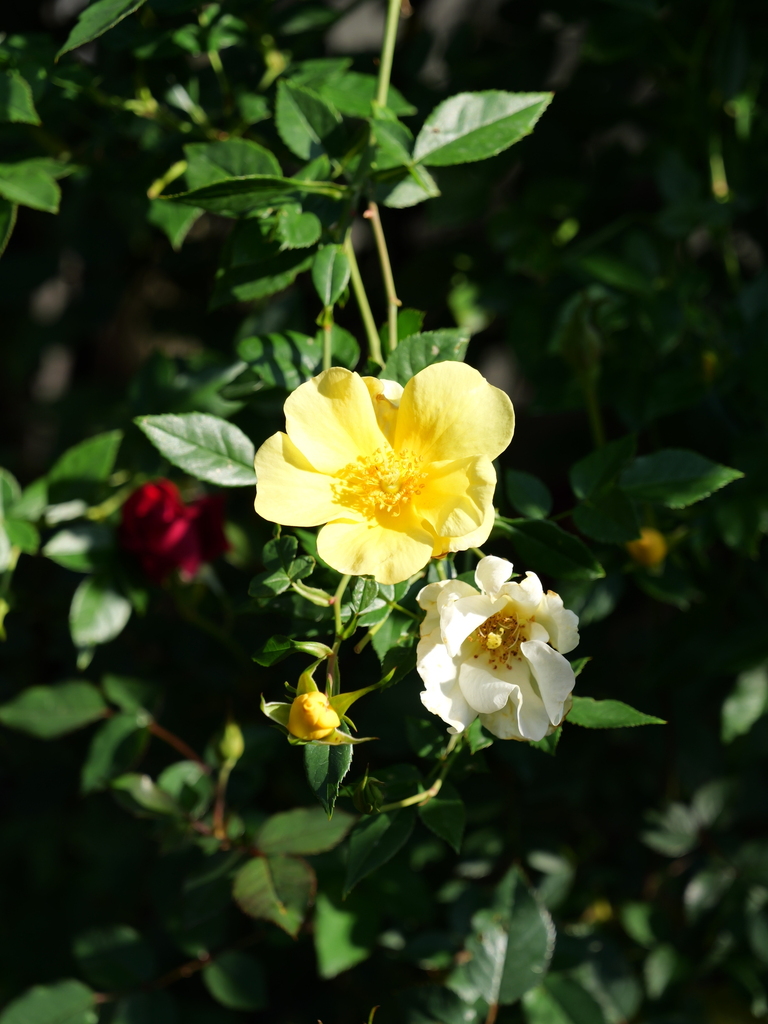 2023-11-04 09_17№(0022).JPG
