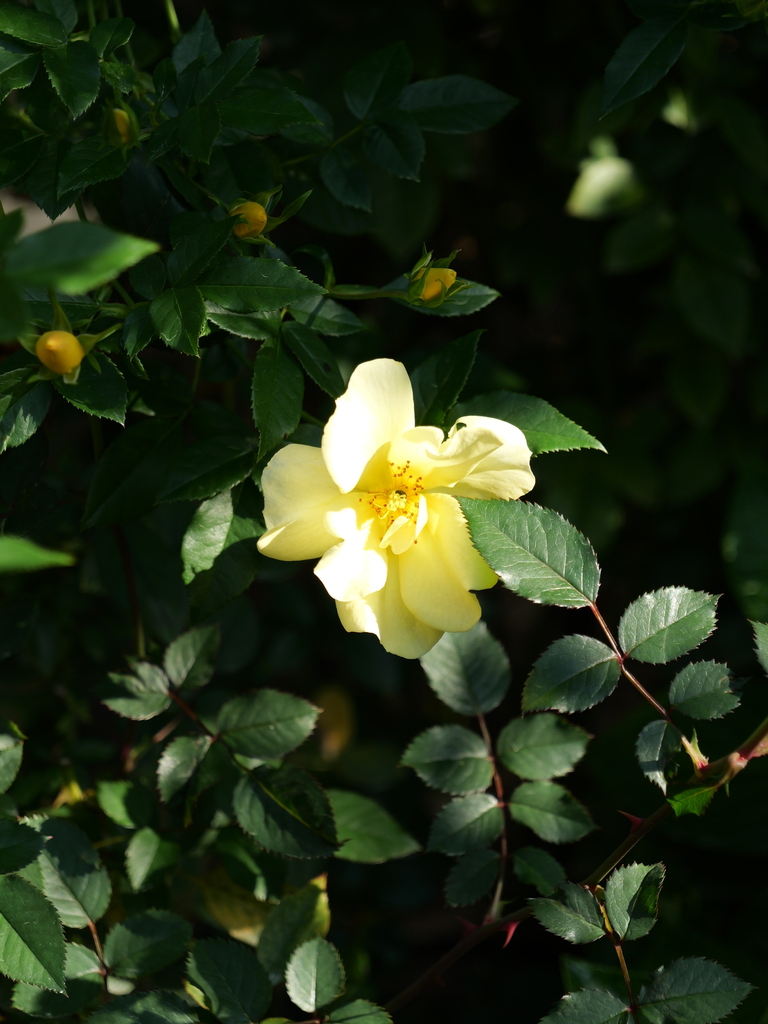 2023-11-04 09_17№(0023).JPG