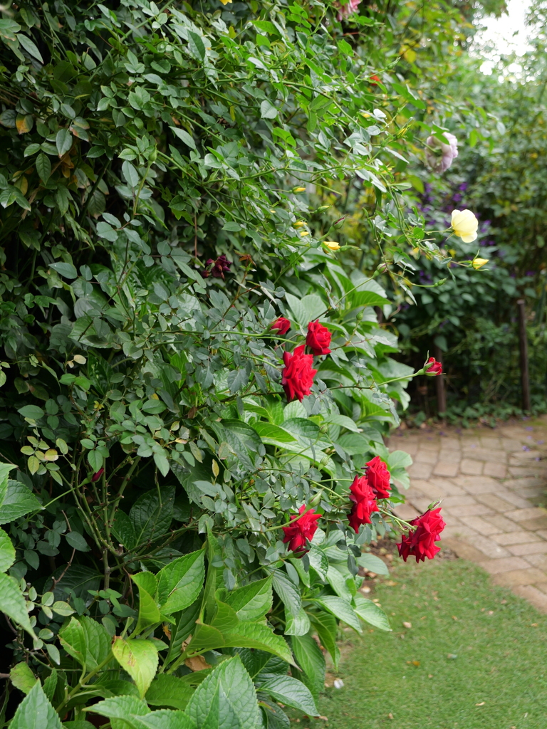 2023-11-05 08_58№(0057).JPG