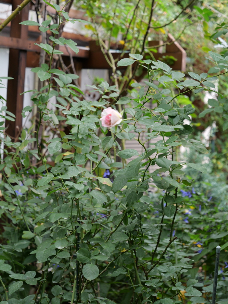 2023-11-05 09_01№(0098).JPG