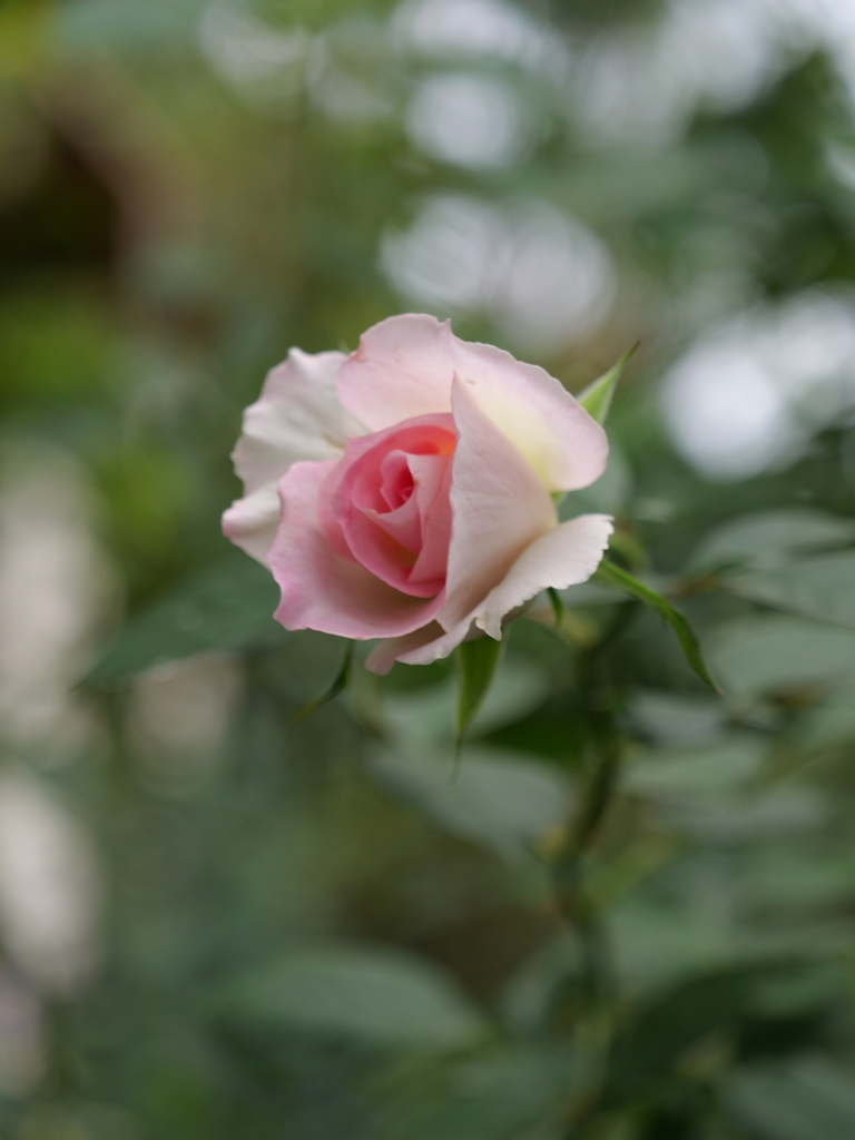 2023-11-05 09_01№(0101).JPG