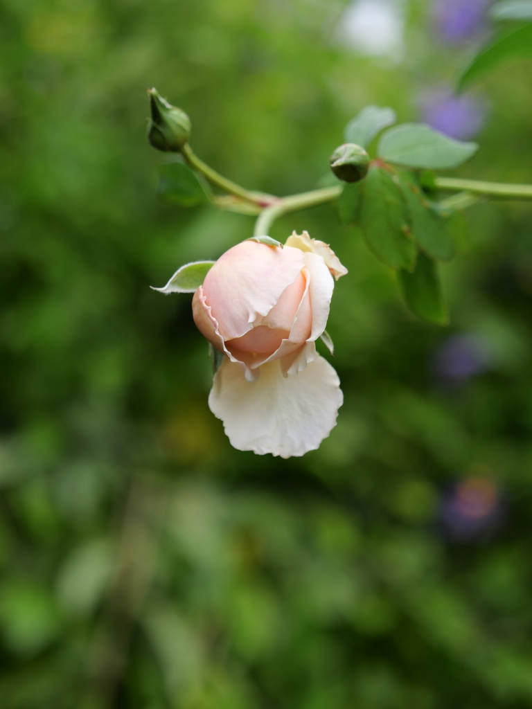 2023-11-05 09_02№(0114).JPG