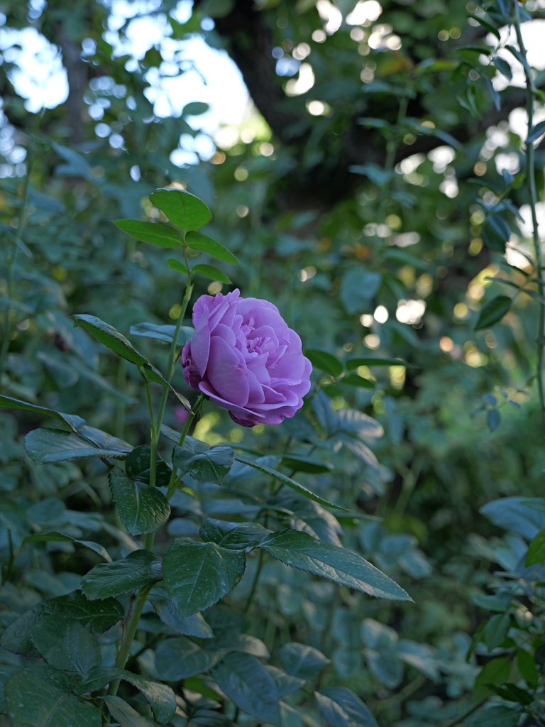 2023-11-19 14_48№(0055).JPG