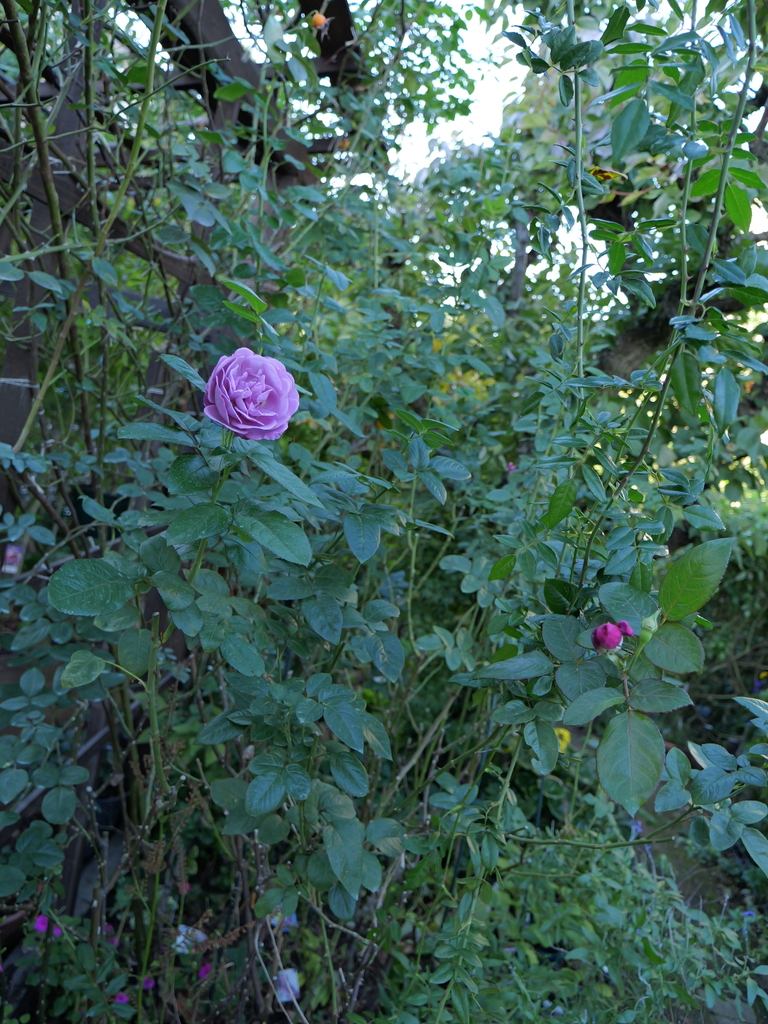 2023-11-19 14_48№(0057).JPG