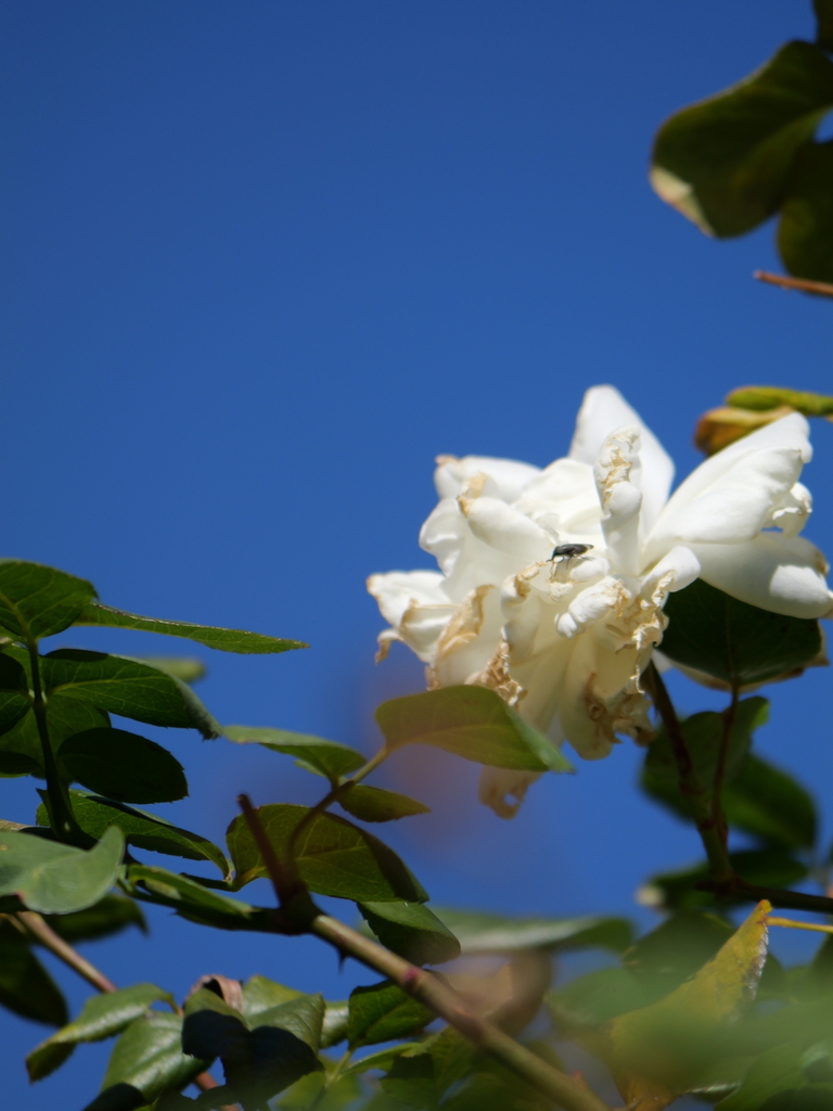 2023-12-08 10_55№(0129).JPG