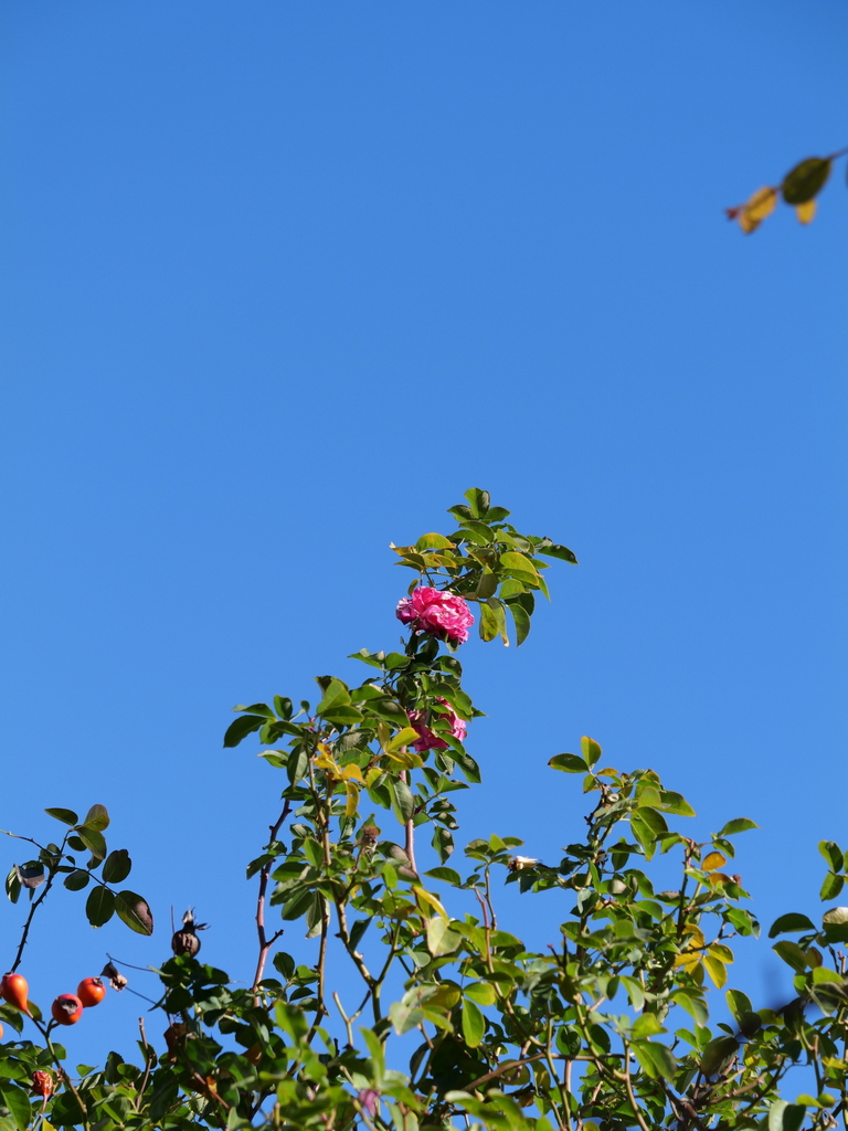 2024-01-16 09_42№(0025).JPG