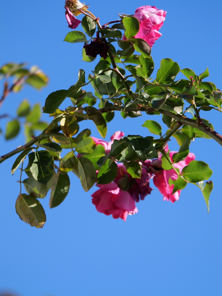 2024-01-16 09_44№(0035).JPG