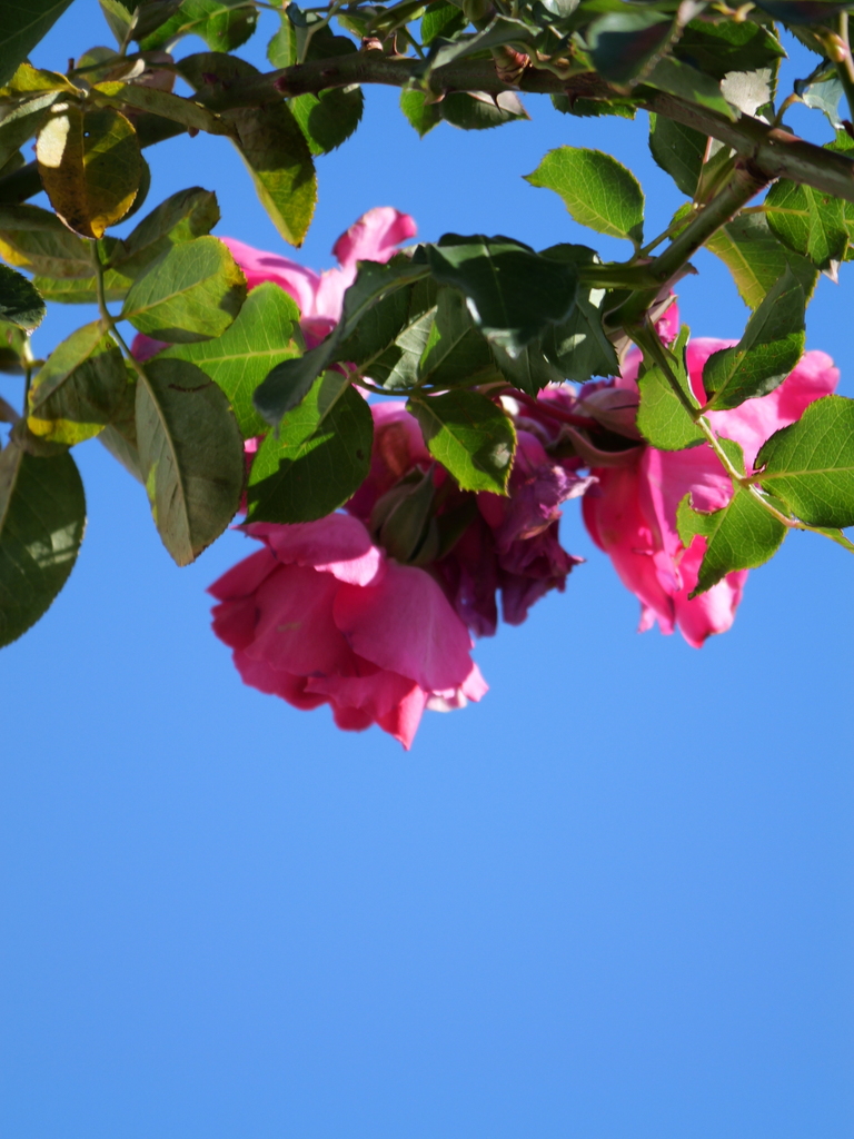 2024-01-16 09_44№(0036).JPG